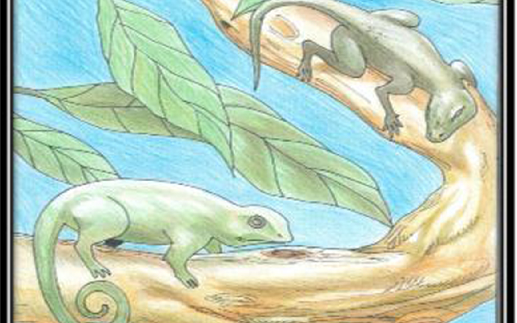 NSOBALONGO LE MARGOUILLARD YOGO LE CAMELEON